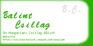 balint csillag business card