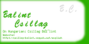 balint csillag business card